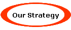 Our Strategy